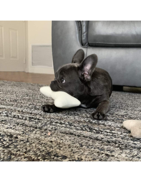 JOYELF Juguete Squeaky para Perros - Paquete de 3 Huesos