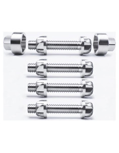 Juego de Tuercas y Tornillos M6 304 Acero Inoxidable Antirrobo 20mm