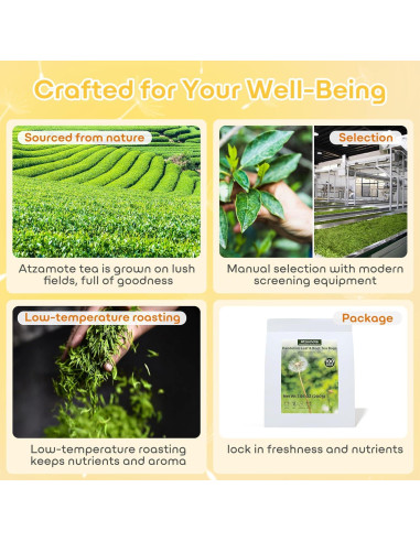 Té Herbal Detox Atzamote 100 Bolsitas Diente de León Sin Cafeína