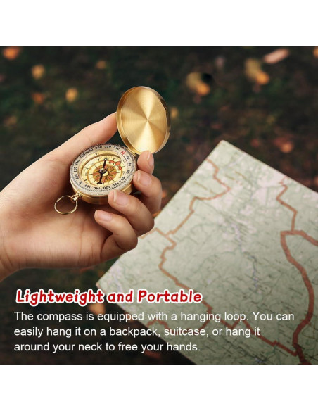 Brújula de Navegación Flintronic Luminosa y Impermeable