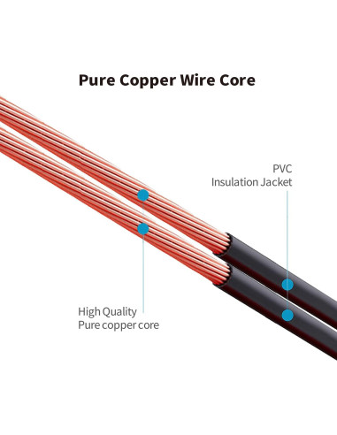 Adaptador de Alimentación Tonton 12V 2A 24W con 8 Puntas