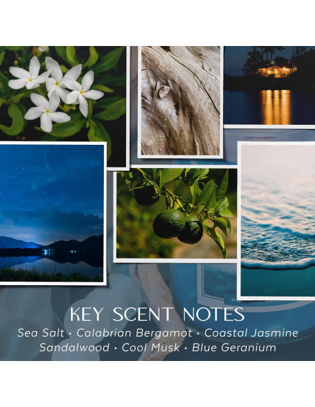 Vela Aromática Havenwick 22 oz Reflexión Lunar Soja