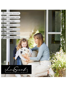 Aceite Difusor de Aroma 1200ML Colección Luxscent 6Th Sense 2