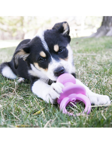 KONG Binkie Juguete para Cachorros Pequeños - Rellenable Azul