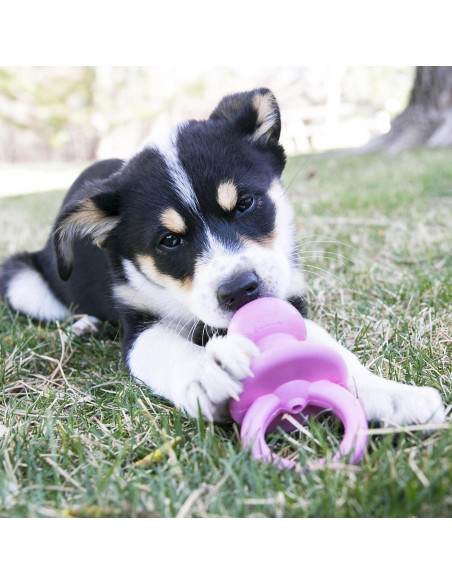 KONG Binkie Juguete para Cachorros Pequeños - Rellenable Azul