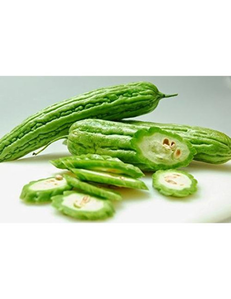 Melón Amargo Seco 28.35 g - Té de Naturaleza 100% Natural