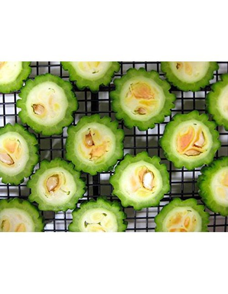 Melón Amargo Seco 28.35 g - Té de Naturaleza 100% Natural