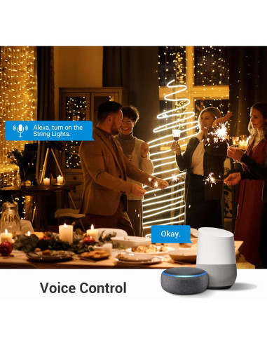 Enchufe Inteligente DEWENWILS WiFi 6 Salidas 1.83m Impermeable