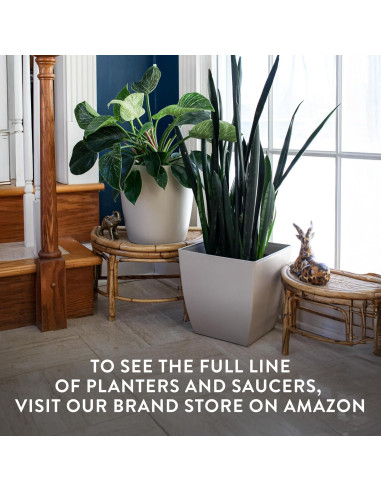 Maceta Redonda Autorriego El HC Companies 15.24 cm Gris Cálido - Paquete de 2