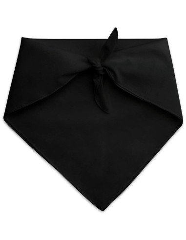 Bandana para Perro Ben 10 Graphics & More 53x53 cm Negra