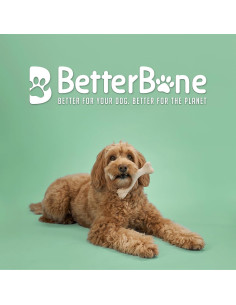 Juguete para Masticar Perros BetterBone Densidad Media Clásico 2
