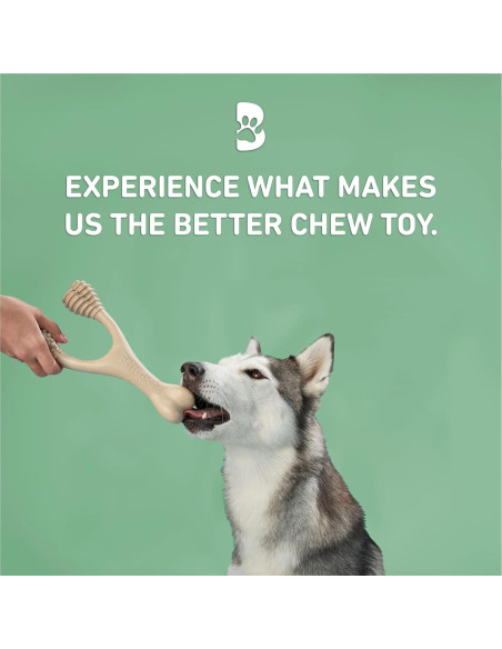 Juguete para Masticar Perros BetterBone Densidad Media Clásico