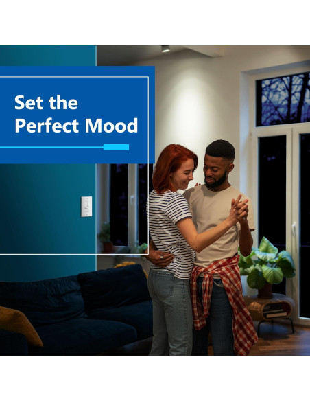 Interruptor Dimerizado Dual LIDER Blanco 400W CFL/LED