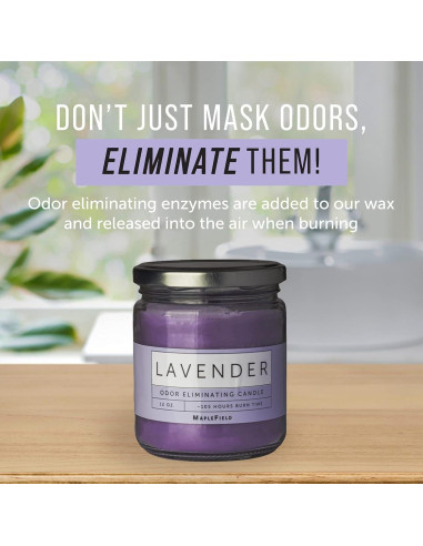 Vela Aromática Eliminadora de Olores Maplefield 340g - Lavanda