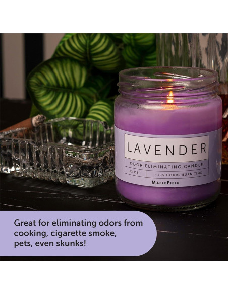 Vela Aromática Eliminadora de Olores Maplefield 340g - Lavanda