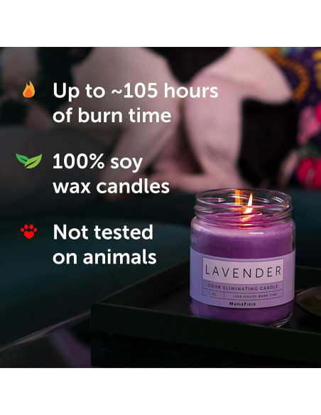 Vela Aromática Eliminadora de Olores Maplefield 340g - Lavanda