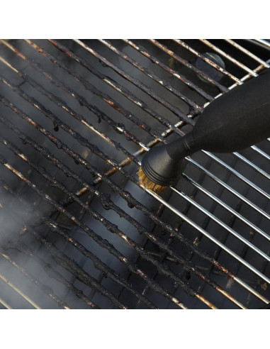 Cepillos de Latón Wagner C800945.M - Paquete de 5 para Limpiador a Vapor