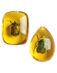 Ximimark 2 Piezas Escarabajo Ámbar Fósil Natural Pulido 66x38mm