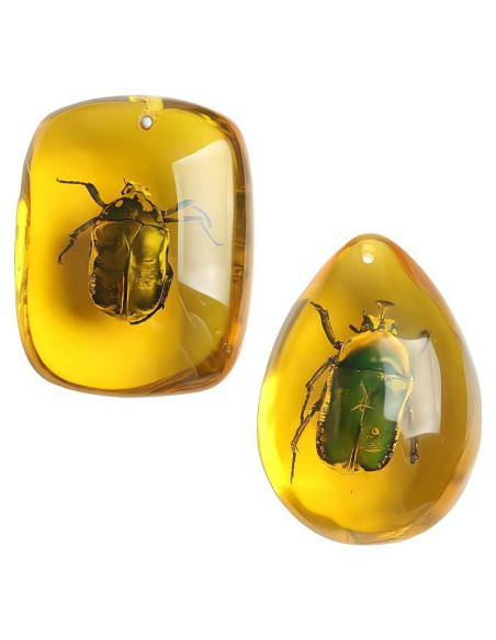 Ximimark 2 Piezas Escarabajo Ámbar Fósil Natural Pulido 66x38mm