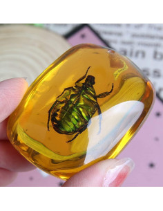 Ximimark 2 Piezas Escarabajo Ámbar Fósil Natural Pulido 66x38mm 2