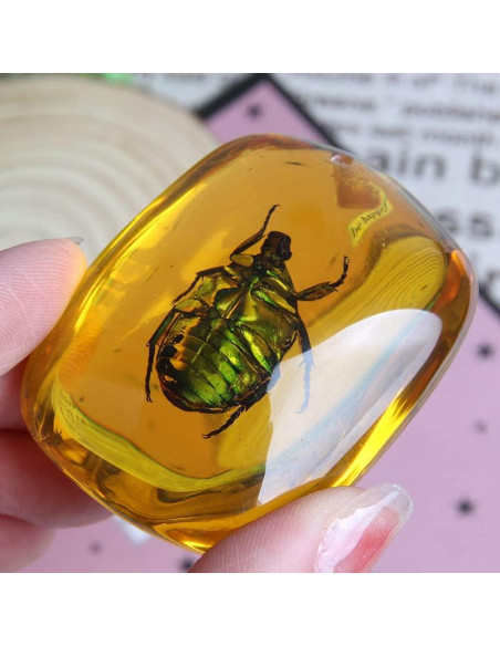 Ximimark 2 Piezas Escarabajo Ámbar Fósil Natural Pulido 66x38mm