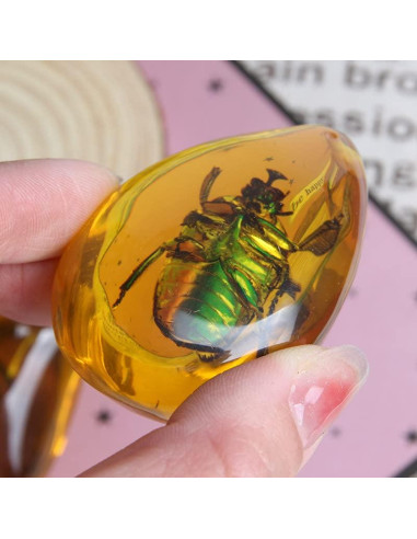 Ximimark 2 Piezas Escarabajo Ámbar Fósil Natural Pulido 66x38mm