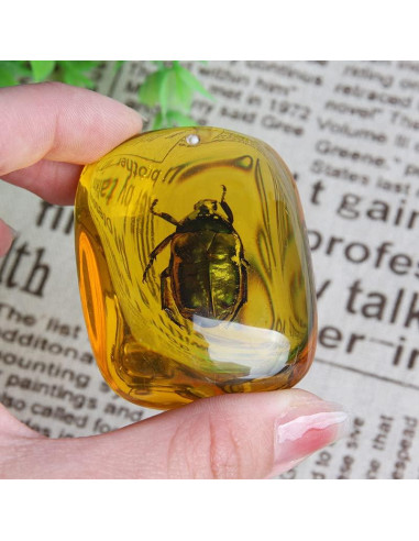 Ximimark 2 Piezas Escarabajo Ámbar Fósil Natural Pulido 66x38mm