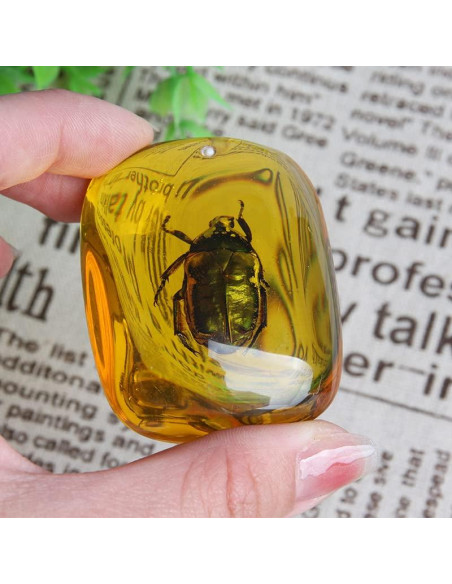 Ximimark 2 Piezas Escarabajo Ámbar Fósil Natural Pulido 66x38mm