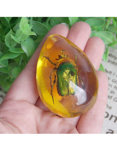 Ximimark 2 Piezas Escarabajo Ámbar Fósil Natural Pulido 66x38mm