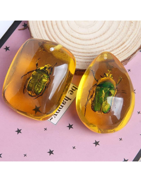 Ximimark 2 Piezas Escarabajo Ámbar Fósil Natural Pulido 66x38mm