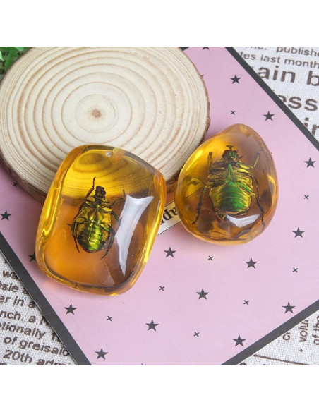 Ximimark 2 Piezas Escarabajo Ámbar Fósil Natural Pulido 66x38mm