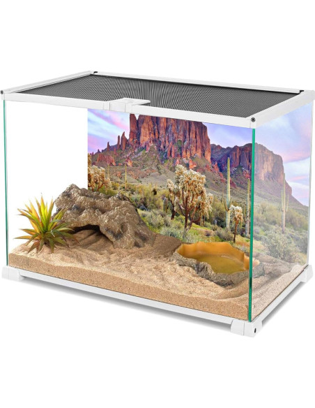 Fondo de Terrario 90x45 cm AWERT Cielo Azul Nubes