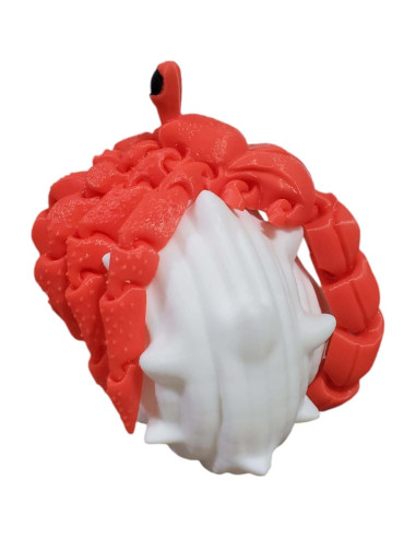 Cangrejo Ermitaño 3D Articulado - Juguete Antiestrés Creativo