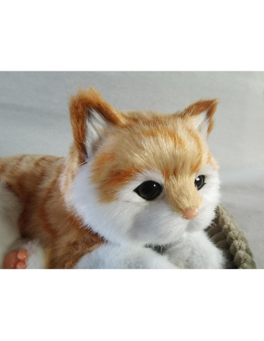 Gato Atigrado Naranja Realista PawFection 30.5x22.9cm
