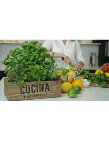 Recarga Jabón de Manos Cucina 1L Cilantro y Olivo Orgánico