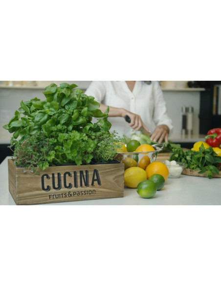 Recarga Jabón de Manos Cucina 1L Cilantro y Olivo Orgánico