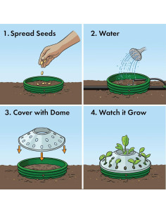 Kit de Jardín de Pepinos para Niños Rooted Promise - Semillas No-GMO 2