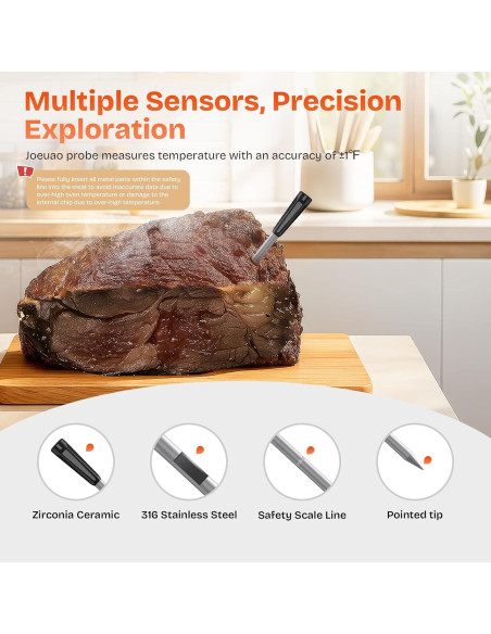 Termómetro de Carne Inalámbrico Joeuao FM2207 con 2 Sensores
