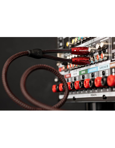 Cable Estéreo RCA AudioQuest Golden Gate 0.6 m - Alta Calidad