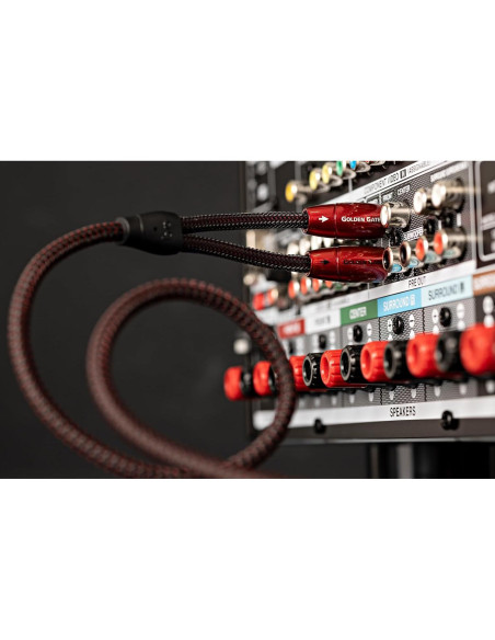 Cable Estéreo RCA AudioQuest Golden Gate 0.6 m - Alta Calidad