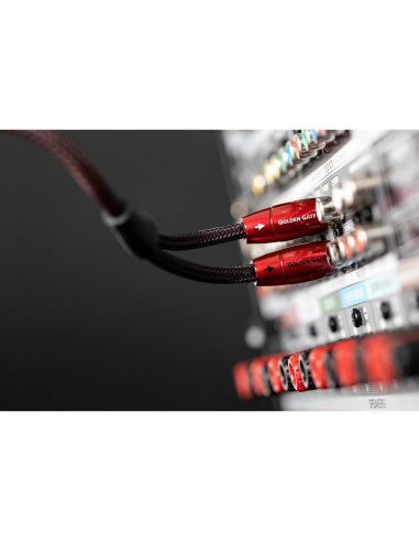 Cable Estéreo RCA AudioQuest Golden Gate 0.6 m - Alta Calidad