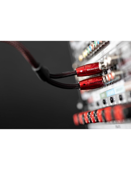 Cable Estéreo RCA AudioQuest Golden Gate 0.6 m - Alta Calidad