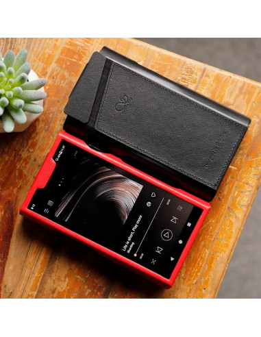 Reproductor de Audio Digital SHANLING M8T 6" 128GB Android 13