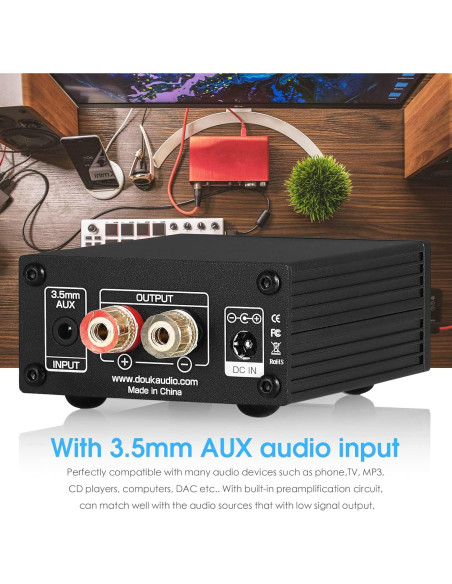 Amplificador de Potencia Mono Nobsound 100W TPA3116D2 25V