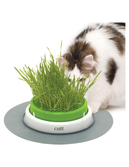 Maceta de Hierba para Gatos Catit Senses 2.0 - Diseño Mejorado