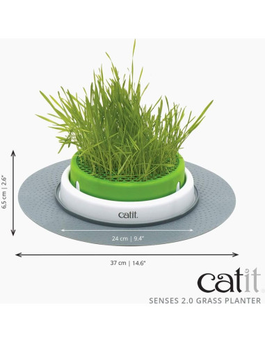 Maceta de Hierba para Gatos Catit Senses 2.0 - Diseño Mejorado