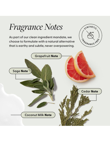 Champú Seco Arey Wait A Sec 15g - Volumen y Sin Residuos