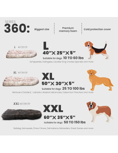 Cama Ortopédica para Perros Laifug de Espuma de Memoria 12.7 cm 2