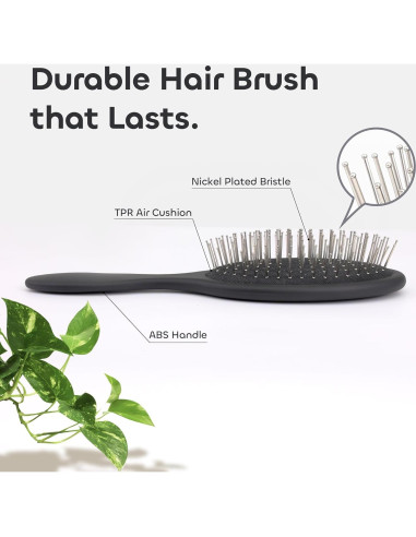 Cepillo Antiestático WeiLa Ovalado para Cabello y Pelucas - 2 Piezas