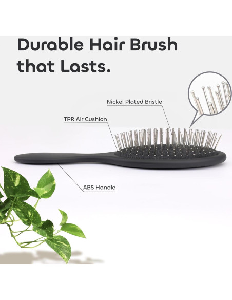 Cepillo Antiestático WeiLa Ovalado para Cabello y Pelucas - 2 Piezas